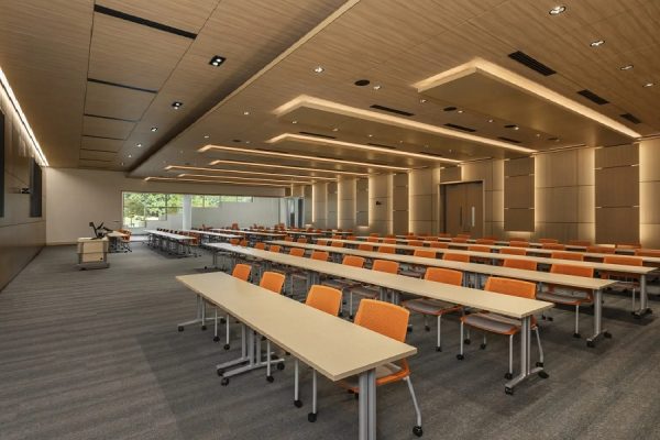 بازسازی دانشگاه